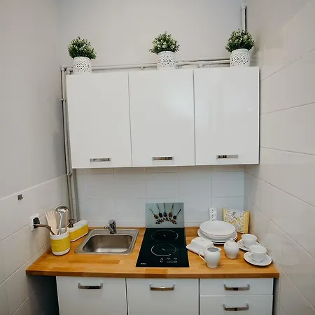 Grey Ii فروتسواف