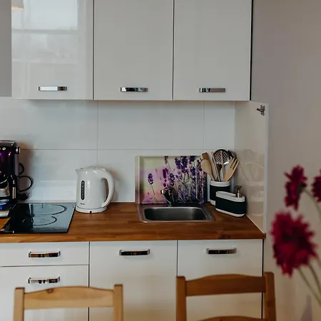 Apartment Grey Ii